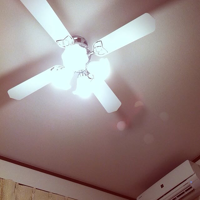 MZKさんの実例写真