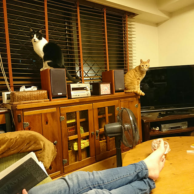 okyosan101さんの実例写真
