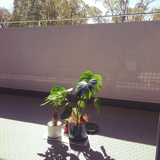 hanacocoさんの実例写真