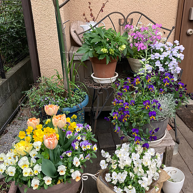 amiromikaさんの部屋