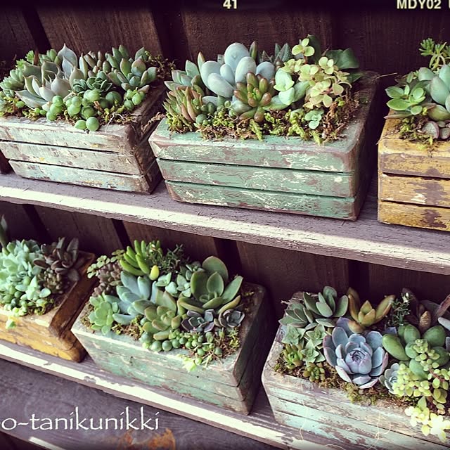botanさんの実例写真
