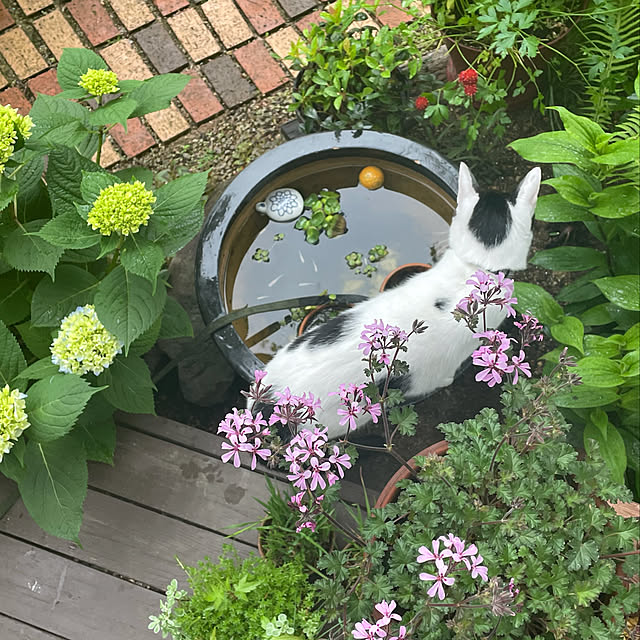 nobikoさんの実例写真