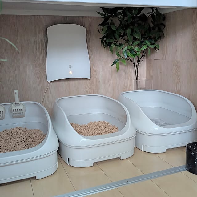 ayamameさんの部屋