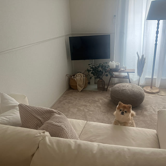 moff__0307さんの実例写真