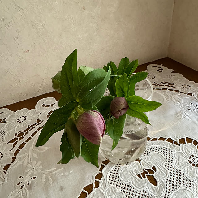 mamizaさんの実例写真