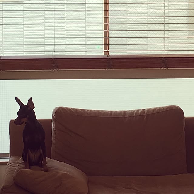 ayaさんの実例写真