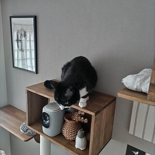 Yumikoさんの部屋