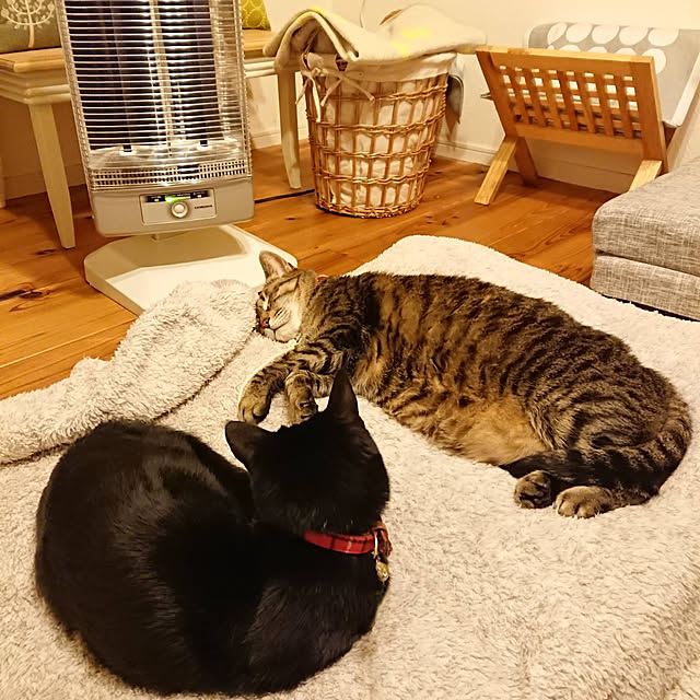 ruuさんの実例写真