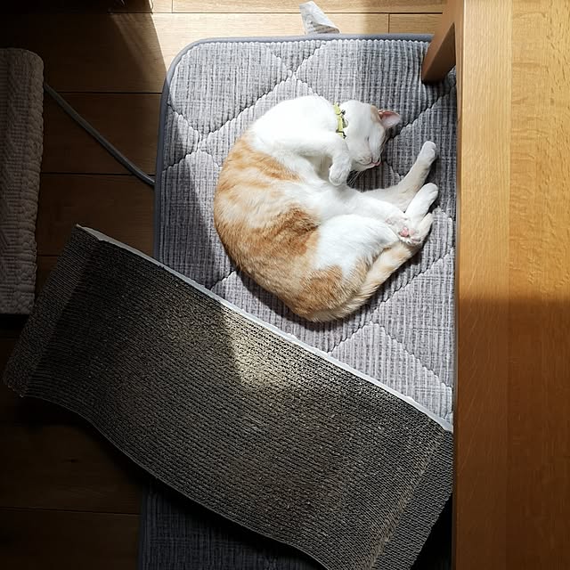 koyurizuさんの実例写真