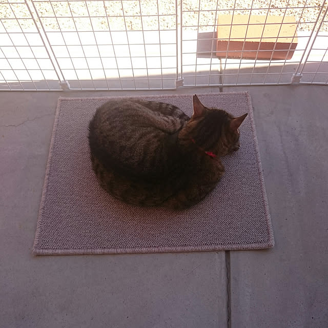 lilyさんの実例写真