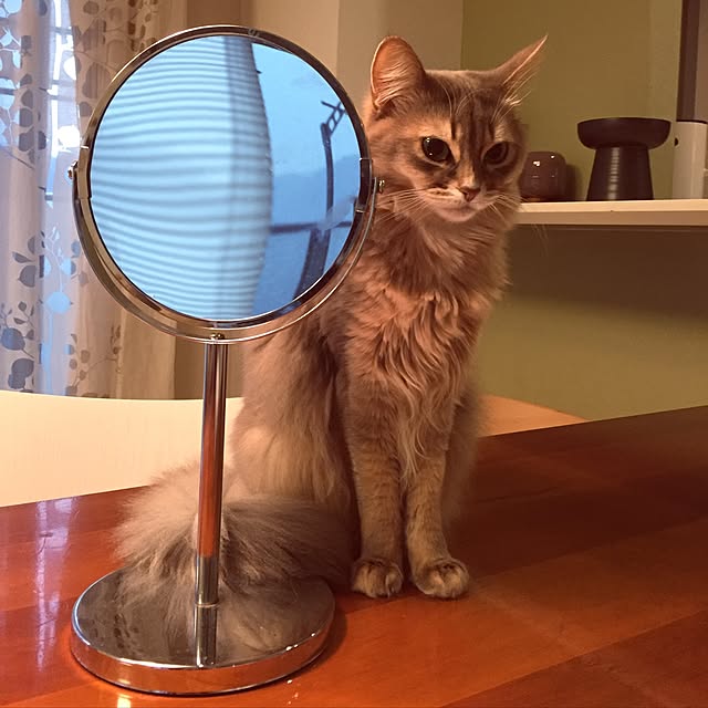 shihoさんの実例写真