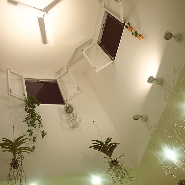 chihomilkさんの実例写真