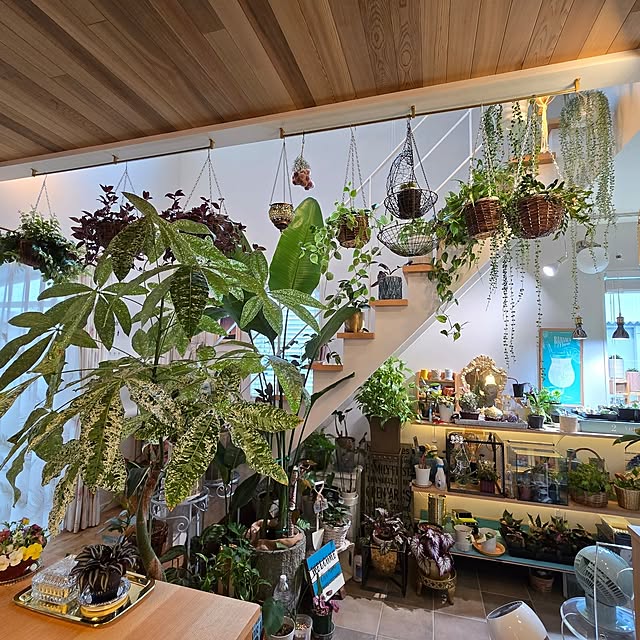 nonbiri_house_さんの実例写真