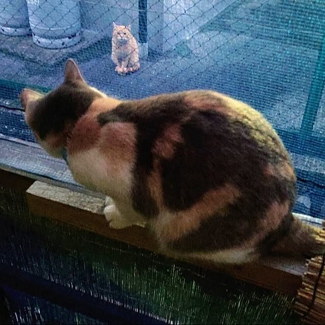 fukuさんの実例写真