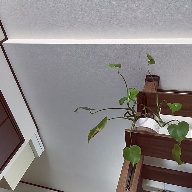 Ray.mさんの実例写真