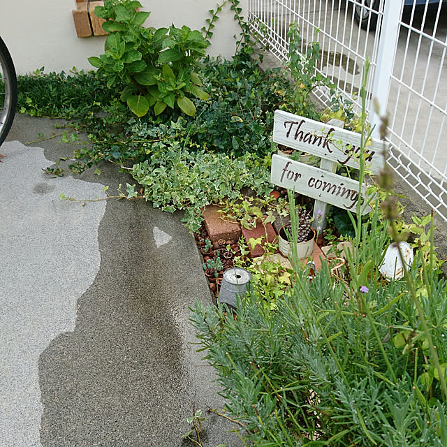 実例写真