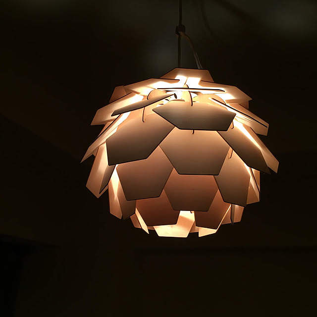 toyさんの実例写真