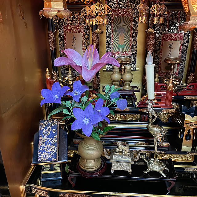 mocoさんの実例写真