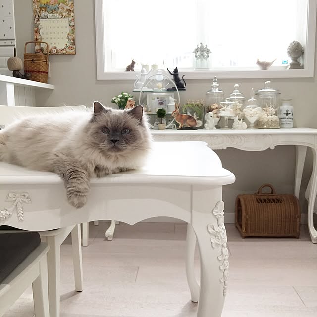yuchiさんの実例写真