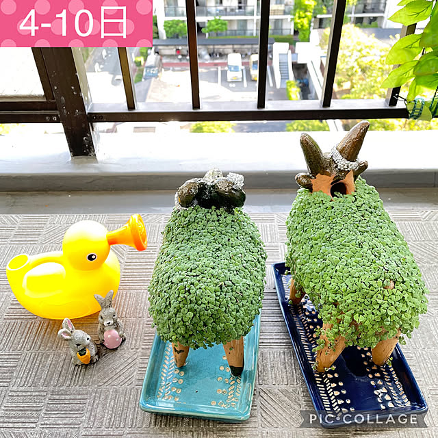 aureaさんの実例写真