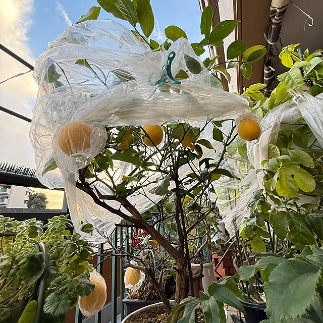 Aqettyさんの部屋