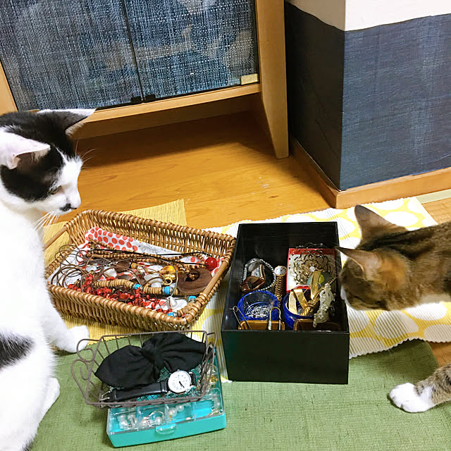 nobikoさんの実例写真