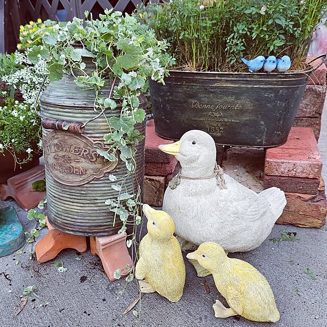 mocomocoさんの実例写真