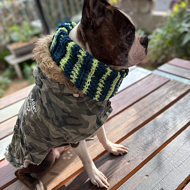 vivicrochetさんの実例写真