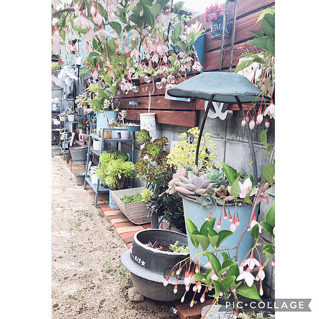 craneさんの実例写真