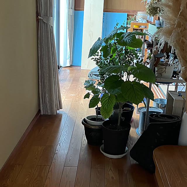Fuku222さんの部屋