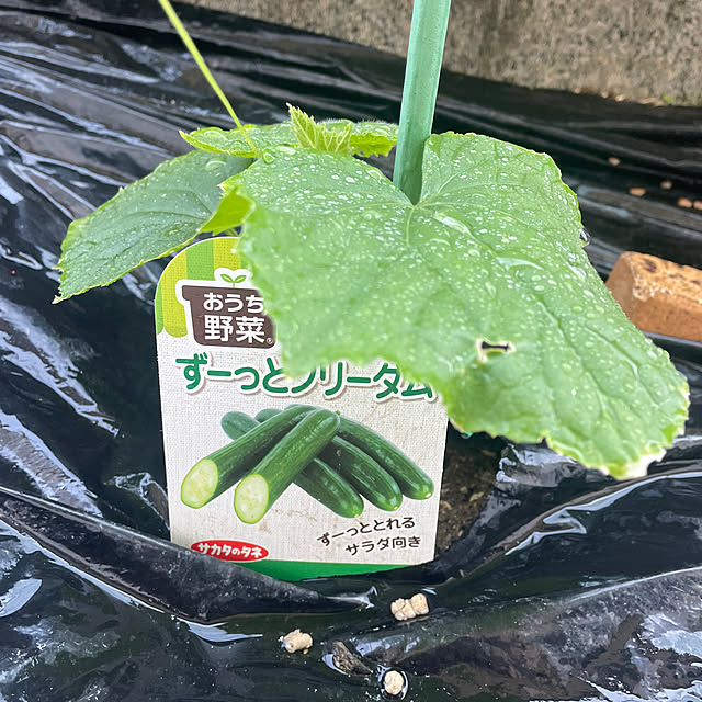 yuu.oさんの部屋