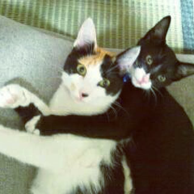 mtkさんの実例写真