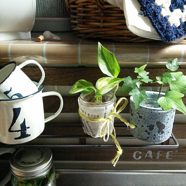 棚/観葉植物/セリア/雑貨のインテリア実例 - 2015-02-08 07:20:14