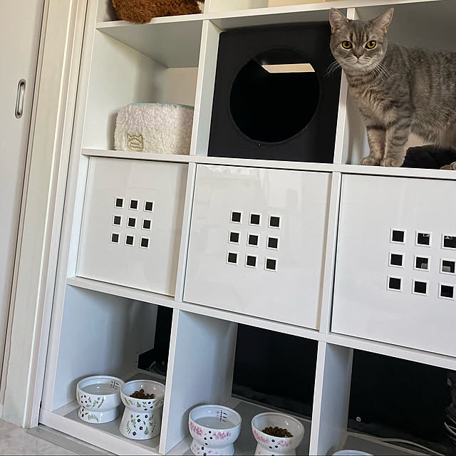 猫 カラックスのおすすめ商品とおしゃれな実例 | RoomClip 猫 カラックスのおすすめ商品とおしゃれな実例 | RoomClip