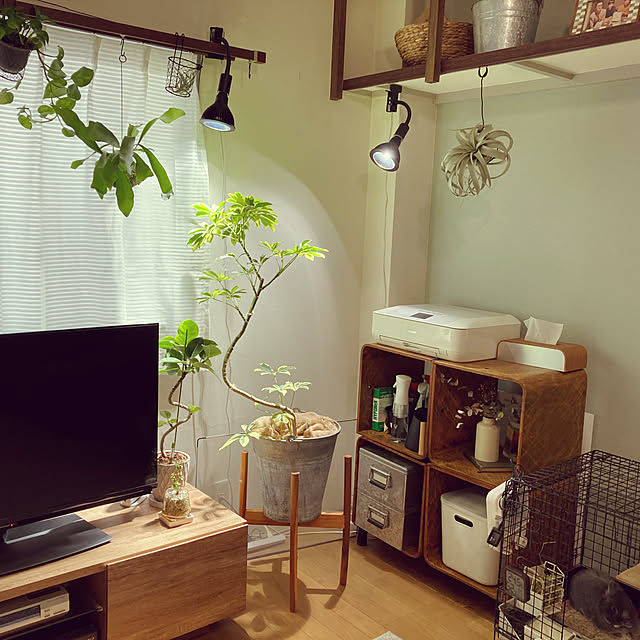 sonichanさんの実例写真