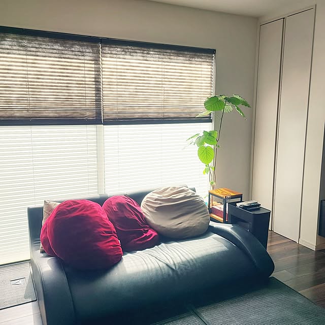 zenoさんの実例写真