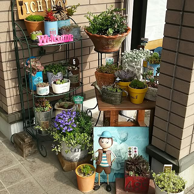 実例写真
