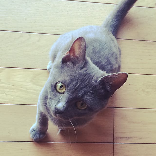poppoさんの実例写真