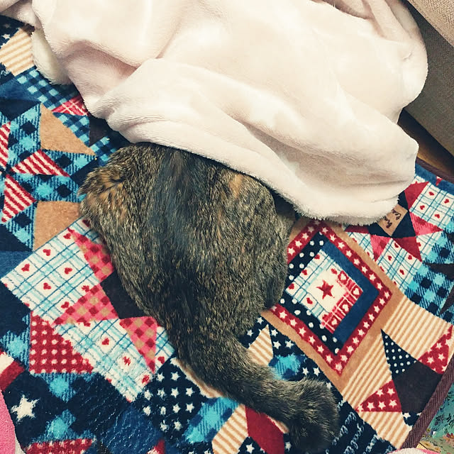 kittenblueさんの実例写真