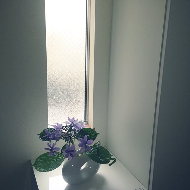 mayuhimeさんの実例写真