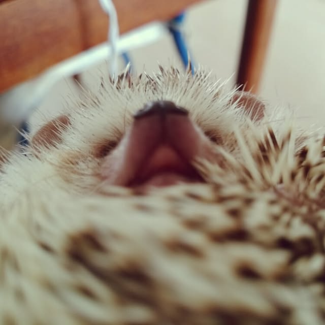 kuruさんの実例写真
