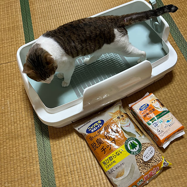 pontaさんの実例写真
