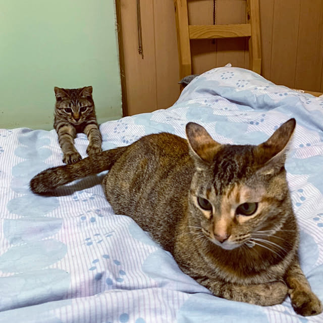 mohhaさんの実例写真