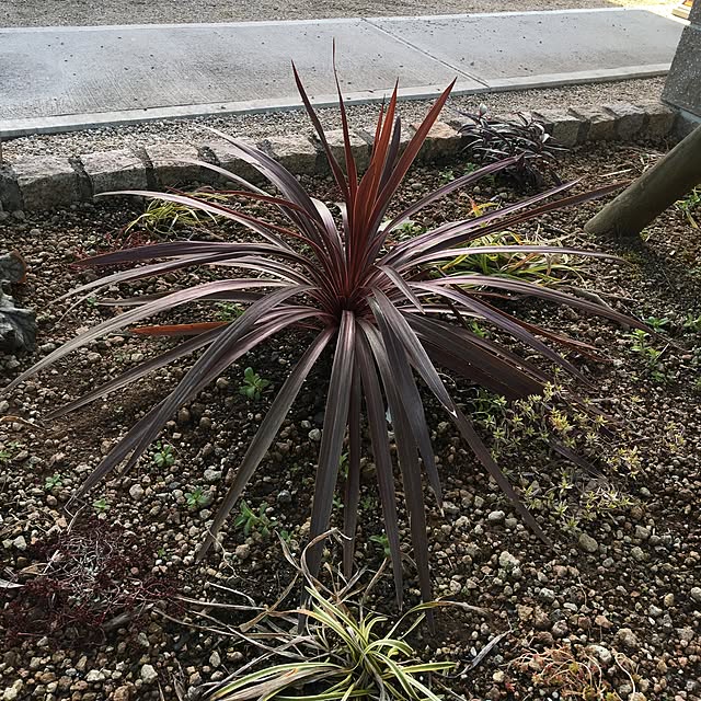 sanw2225719さんの実例写真