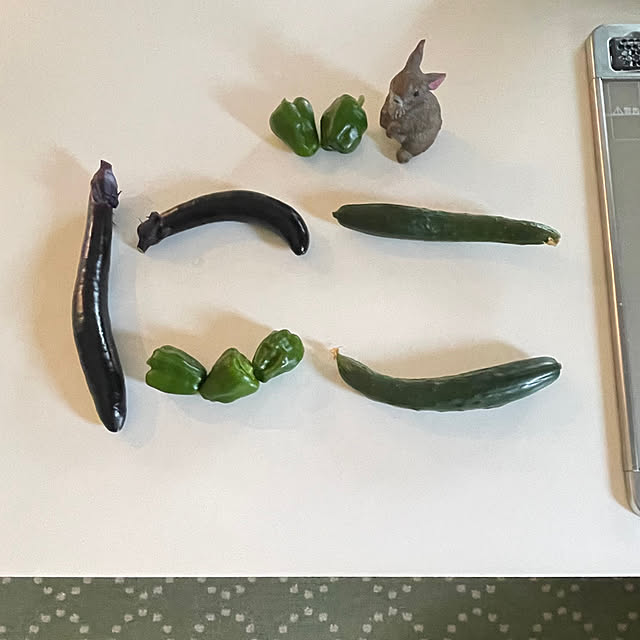 SIELUさんの実例写真