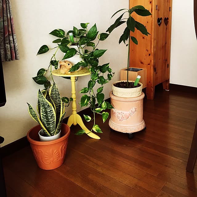 kaorunさんの実例写真
