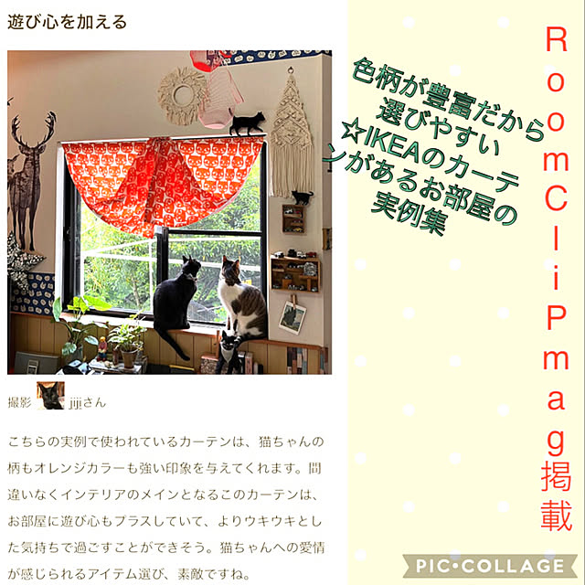 jijiさんの実例写真