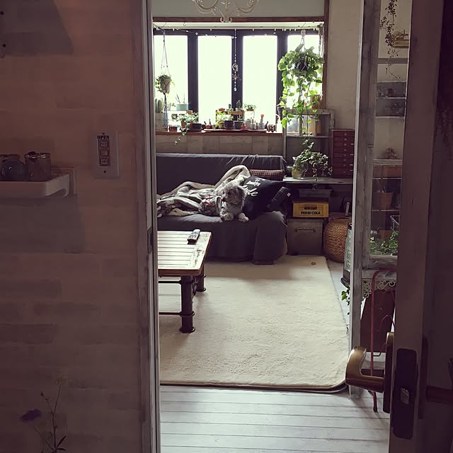 muuさんの実例写真