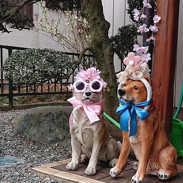 NOAHさんの実例写真