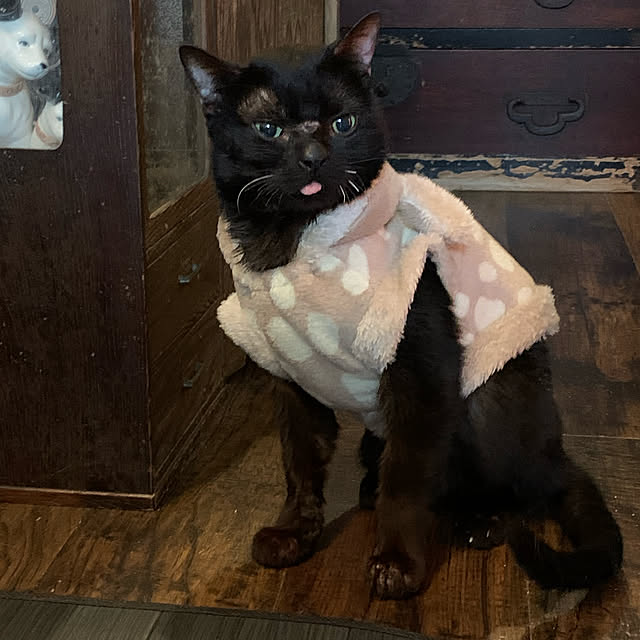 mecchaさんの実例写真